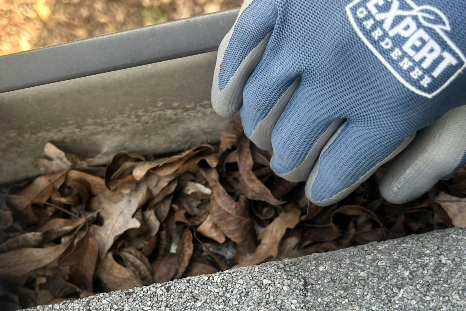 Gutter Cleaning Chapin