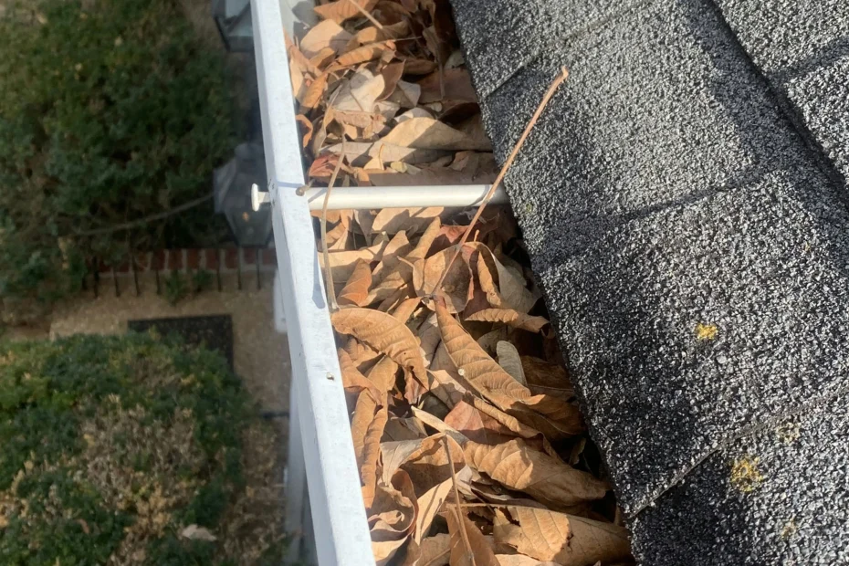 Gutter Cleaning Chapin