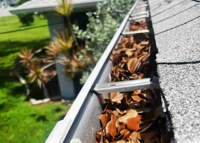 Gutter Cleaning Chapin home page